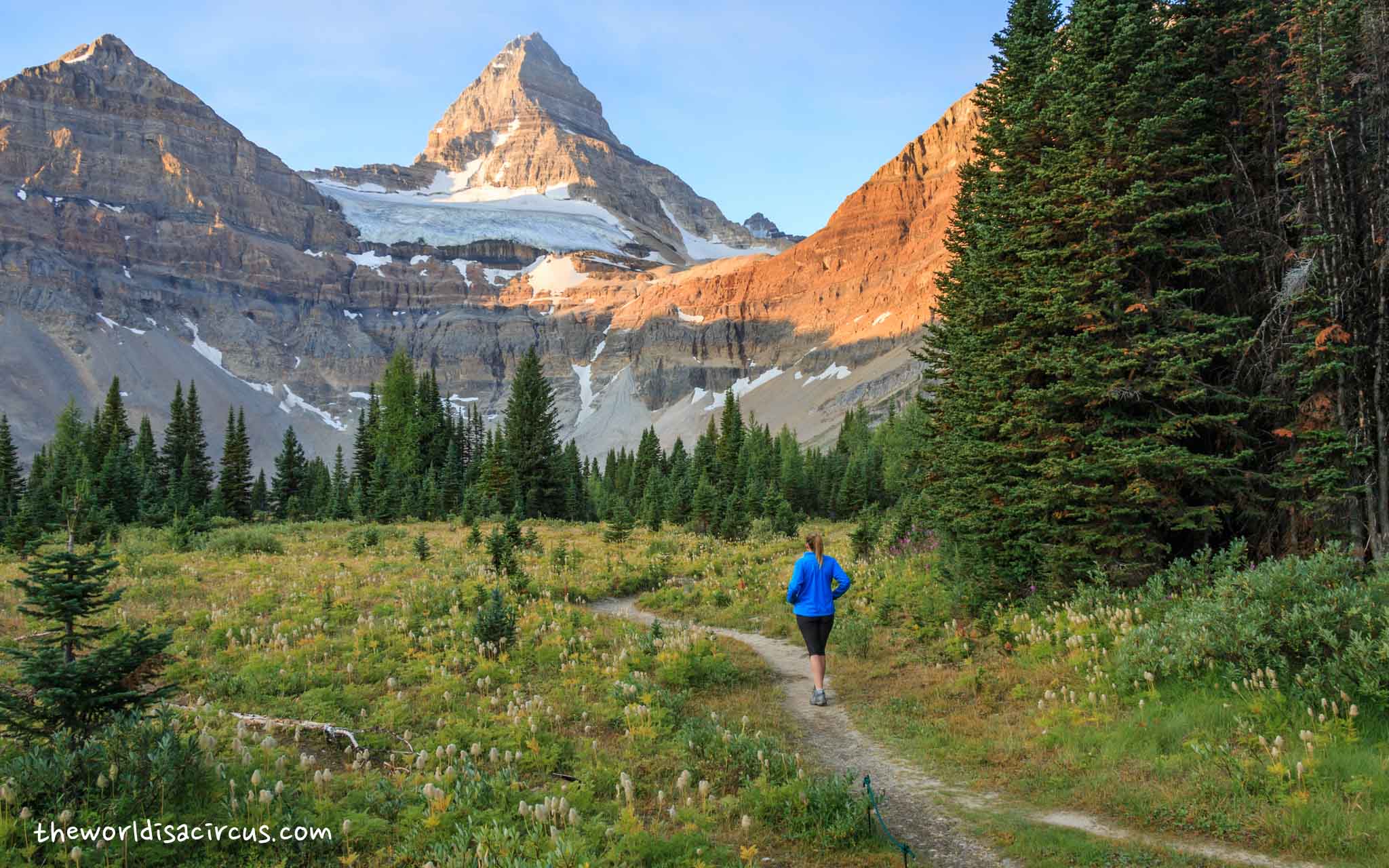 Mount Assiniboine Provincial Park: a Week of Hiking and Camping